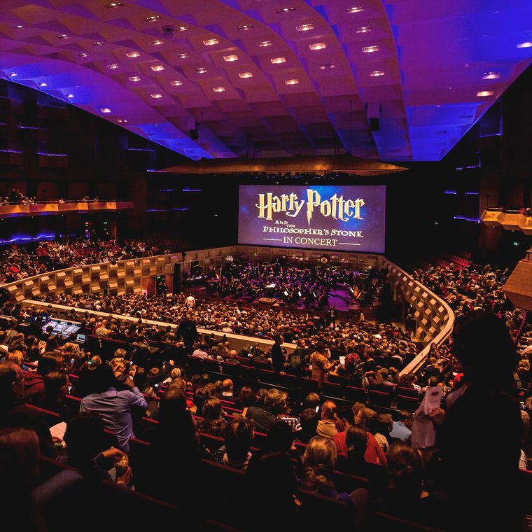 Afbeelding bij Harry Potter in Concert