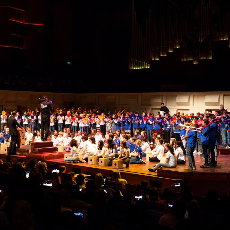 Afbeelding bij Samenspeelorkest