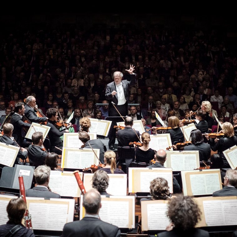 Afbeelding bij Gergiev Festival 2010