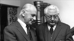 Afbeelding bij 'Over het randje'