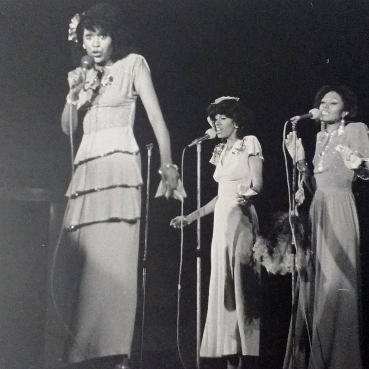 Afbeelding bij The Pointer Sisters